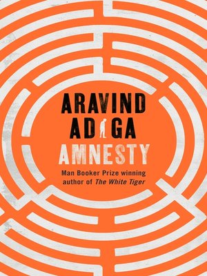 cover image of Amnesty